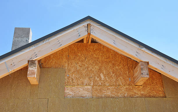 Best Siding Removal and Disposal  in Jasper, TX